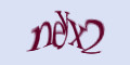 COM_SMFAQ_FORM_CAPTCHA