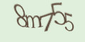 COM_SMFAQ_FORM_CAPTCHA
