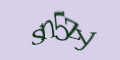 COM_SMFAQ_FORM_CAPTCHA