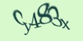 COM_SMFAQ_FORM_CAPTCHA